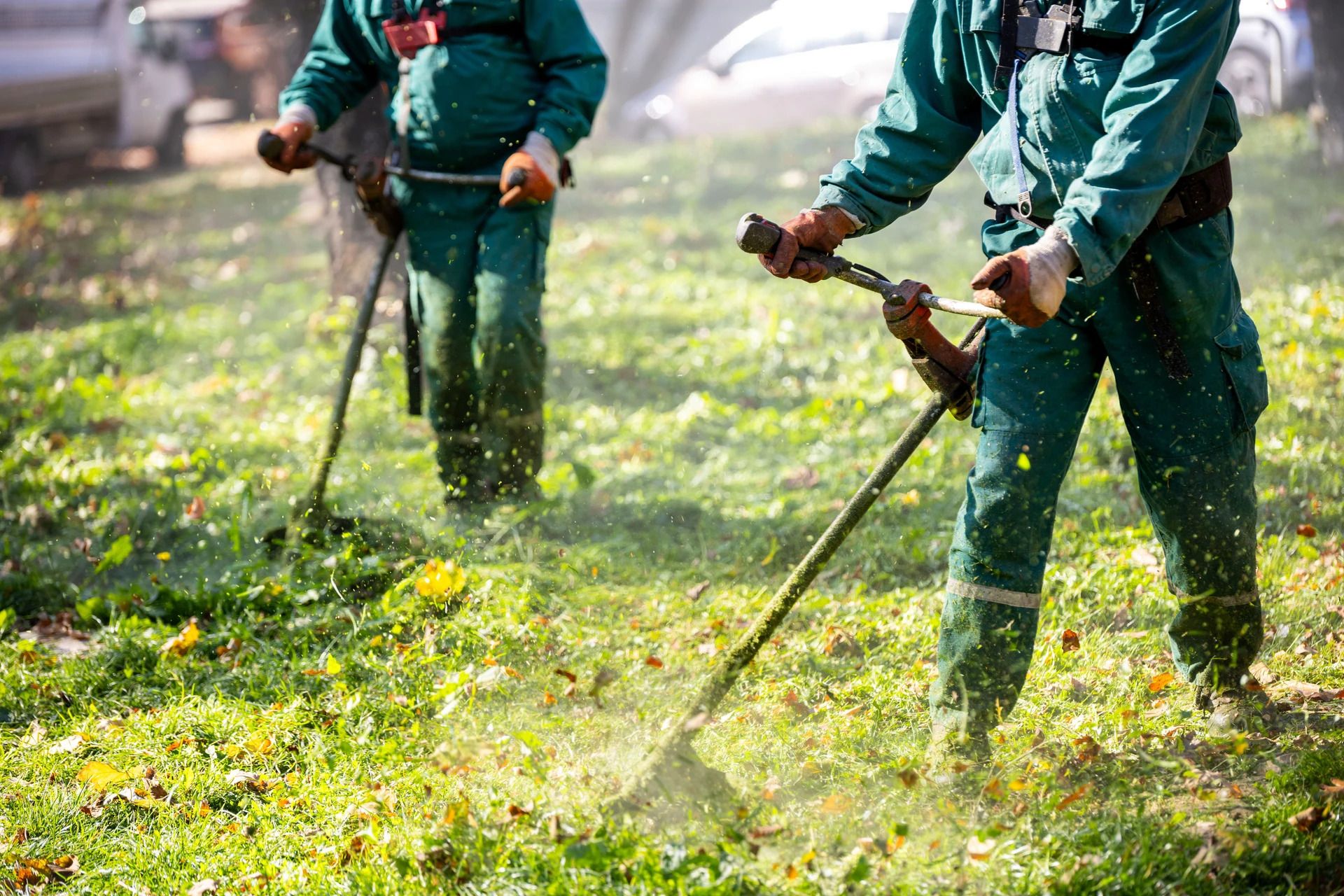Pelouse fraîchement tondue et tondeuse en fin de passage