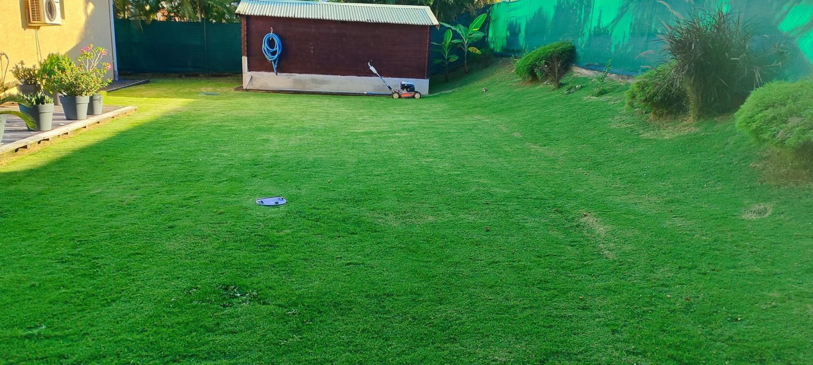Grande pelouse fraîchement tondue devant un cabanon de jardin