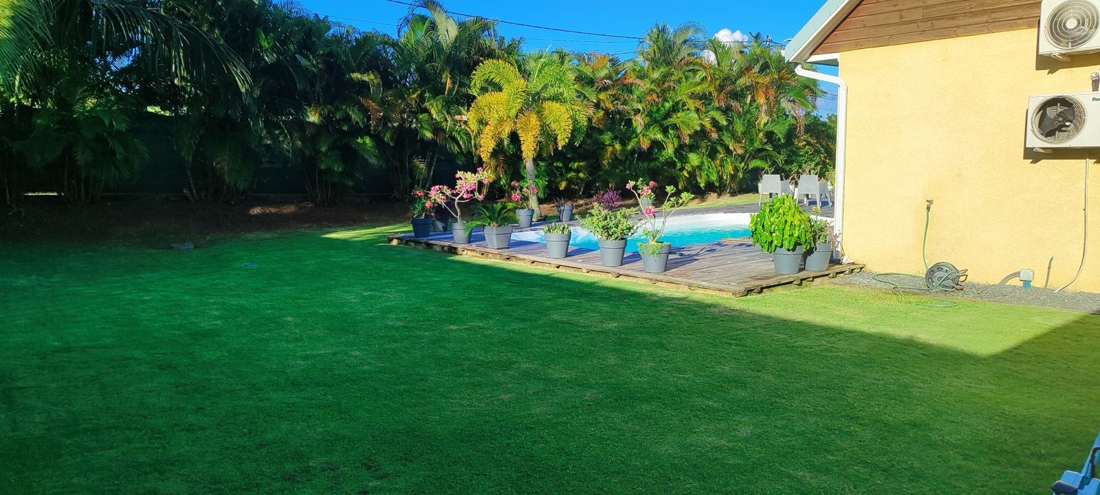 Pelouse et terrasse de piscine entretenues