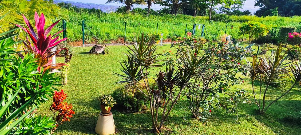 Jardin fleuri entretenu avec vue sur la mer