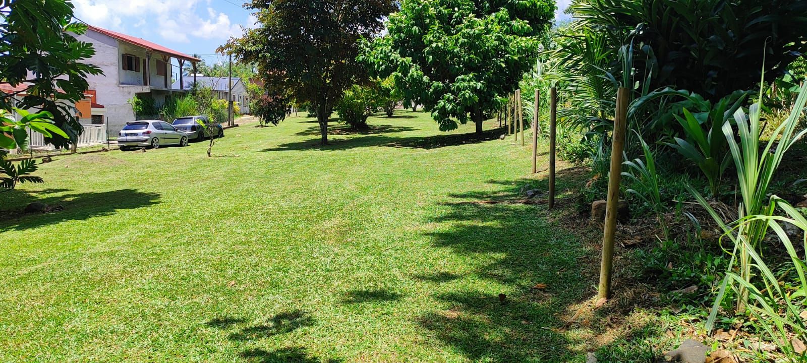 Pelouse tondue sous les arbres fruitiers