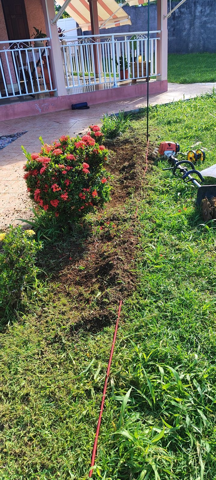 Création d’un massif fleuri le long d’une allée — avant