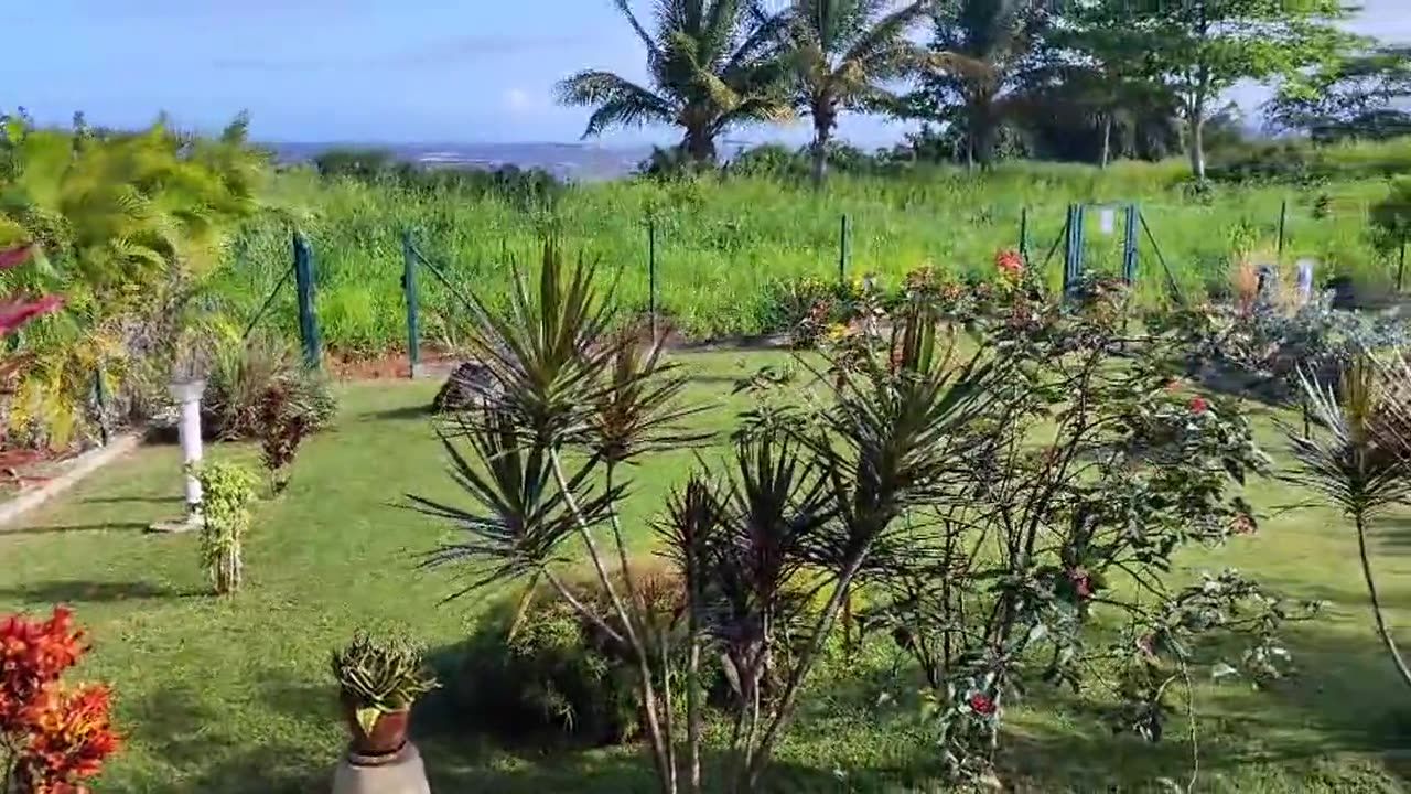 Vue large d’un jardin entretenu par Mika Services, face à la mer